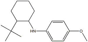 N-(2-tert-butylcyclohexyl)-4-methoxyaniline Struktur