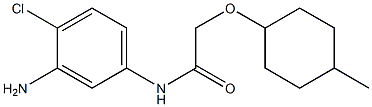 N-(3-amino-4-chlorophenyl)-2-[(4-methylcyclohexyl)oxy]acetamide Struktur