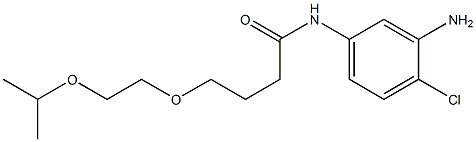 N-(3-amino-4-chlorophenyl)-4-[2-(propan-2-yloxy)ethoxy]butanamide Struktur