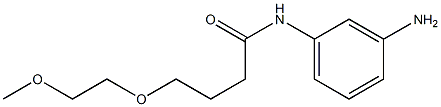 N-(3-aminophenyl)-4-(2-methoxyethoxy)butanamide Struktur