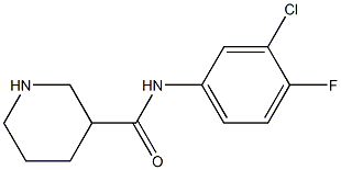 N-(3-chloro-4-fluorophenyl)piperidine-3-carboxamide Struktur