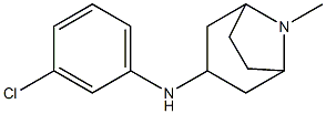 N-(3-chlorophenyl)-8-methyl-8-azabicyclo[3.2.1]octan-3-amine Struktur