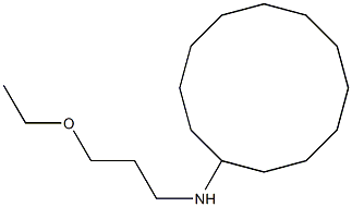 N-(3-ethoxypropyl)cyclododecanamine Struktur