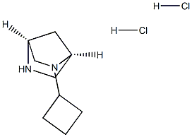 (1S,4S)-2-cyclobutyl-2,5-diazabicyclo[2.2.1]heptane dihydrochloride Struktur