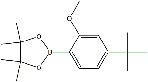 2-(4-tert-Butyl-2-methoxy-phenyl)-4,4,5,5-tetramethyl-[1,3,2]dioxaborolane Struktur