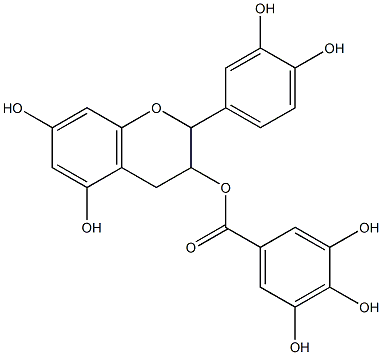 Epicatechin-3-gallate Struktur