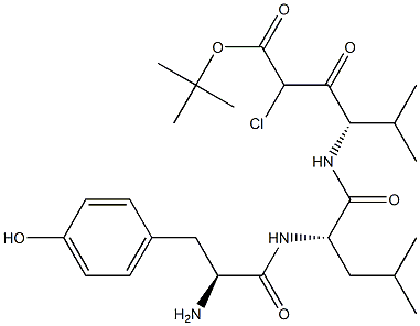 tert-butoxycarbonyl-tyrosyl-leucyl-valyl-chloromethane Struktur