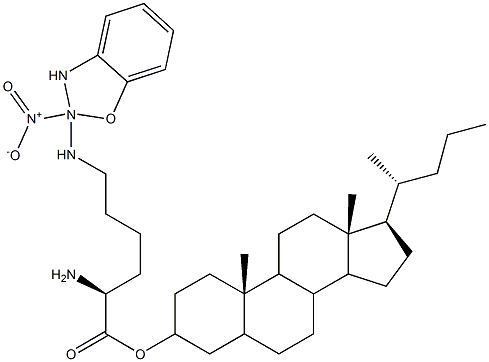 cholyl-2-(4-N-nitrobenzoxadiazolyl)aminobutyl-glycine Struktur