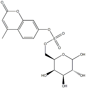 4-methylumbelliferyl-galactoside 6-sulfate Struktur