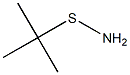 N-TERT-BUTYLSULPHENAMIDE Struktur