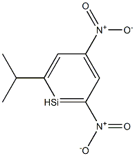 2-ISOPROPYL-4,6-DINITROAILINE Struktur