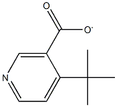 TERT-BUTYLNICOTINATE Struktur