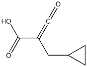 ALPHA-KETOMETHYLENECYCLOPROPYLPROPIONICACID Struktur