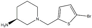 (3S)-1-[(5-bromothiophen-2-yl)methyl]piperidin-3-amine Struktur