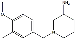 1-(4-methoxy-3-methylbenzyl)piperidin-3-amine Struktur