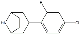 3-(4-chloro-2-fluorophenyl)-8-azabicyclo[3.2.1]octane Struktur