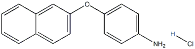 4-(2-NAPHTHYLOXY)ANILINE HYDROCHLORIDE Struktur