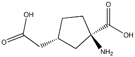 (1R,3R)-CIS-1-AMINO-1-CARBOXYCYCLOPENTANE-3-ACETIC ACID Struktur