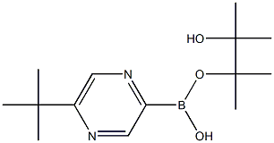 5-(TERT-BUTYL)PYRAZINE-2-BORONIC ACID PINACOL ESTER Struktur