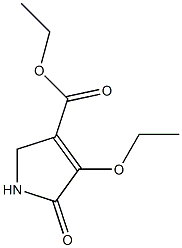 ethyl 4-ethoxy-5-oxo-2,5-dihydro-1H-pyrrole-3-carboxylate Struktur