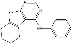 N4-phenyl-5,6,7,8-tetrahydrobenzo[4,5]thieno[2,3-d]pyrimidin-4-amine Struktur