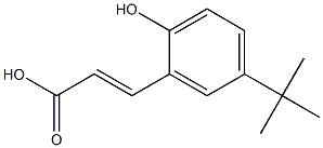 (E)-3-(5-tert-butyl-2-hydroxyphenyl)acrylic acid Struktur