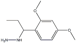 1-(1-(2,4-dimethoxyphenyl)propyl)hydrazine Struktur