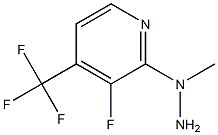 1-(3-fluoro-4-(trifluoromethyl)pyridin-2-yl)-1-methylhydrazine Struktur