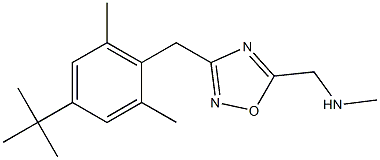 ({3-[(4-tert-butyl-2,6-dimethylphenyl)methyl]-1,2,4-oxadiazol-5-yl}methyl)(methyl)amine Struktur