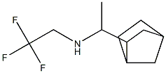 (1-{bicyclo[2.2.1]heptan-2-yl}ethyl)(2,2,2-trifluoroethyl)amine Struktur