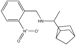 (1-{bicyclo[2.2.1]heptan-2-yl}ethyl)[(2-nitrophenyl)methyl]amine Struktur