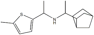 (1-{bicyclo[2.2.1]heptan-2-yl}ethyl)[1-(5-methylthiophen-2-yl)ethyl]amine Struktur