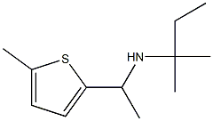 (2-methylbutan-2-yl)[1-(5-methylthiophen-2-yl)ethyl]amine Struktur