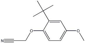 (2-tert-butyl-4-methoxyphenoxy)acetonitrile Struktur