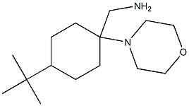 (4-tert-butyl-1-morpholin-4-ylcyclohexyl)methylamine Struktur