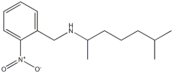 (6-methylheptan-2-yl)[(2-nitrophenyl)methyl]amine Struktur