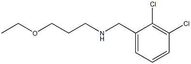 [(2,3-dichlorophenyl)methyl](3-ethoxypropyl)amine Struktur