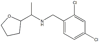 [(2,4-dichlorophenyl)methyl][1-(oxolan-2-yl)ethyl]amine Struktur