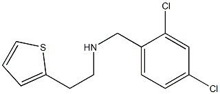 [(2,4-dichlorophenyl)methyl][2-(thiophen-2-yl)ethyl]amine Struktur