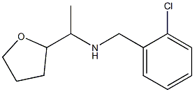 [(2-chlorophenyl)methyl][1-(oxolan-2-yl)ethyl]amine Struktur