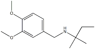 [(3,4-dimethoxyphenyl)methyl](2-methylbutan-2-yl)amine Struktur