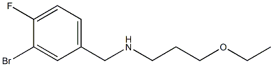 [(3-bromo-4-fluorophenyl)methyl](3-ethoxypropyl)amine Struktur