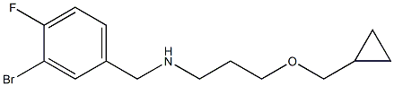 [(3-bromo-4-fluorophenyl)methyl][3-(cyclopropylmethoxy)propyl]amine Struktur