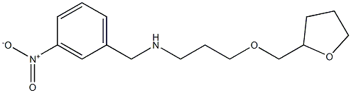 [(3-nitrophenyl)methyl][3-(oxolan-2-ylmethoxy)propyl]amine Struktur