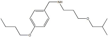 [(4-butoxyphenyl)methyl][3-(2-methylpropoxy)propyl]amine Struktur