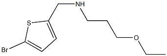 [(5-bromothiophen-2-yl)methyl](3-ethoxypropyl)amine Struktur