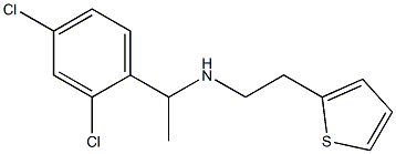 [1-(2,4-dichlorophenyl)ethyl][2-(thiophen-2-yl)ethyl]amine Struktur