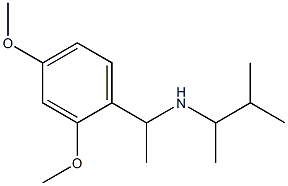 [1-(2,4-dimethoxyphenyl)ethyl](3-methylbutan-2-yl)amine Struktur