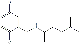 [1-(2,5-dichlorophenyl)ethyl](5-methylhexan-2-yl)amine Struktur