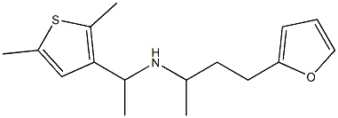 [1-(2,5-dimethylthiophen-3-yl)ethyl][4-(furan-2-yl)butan-2-yl]amine Struktur